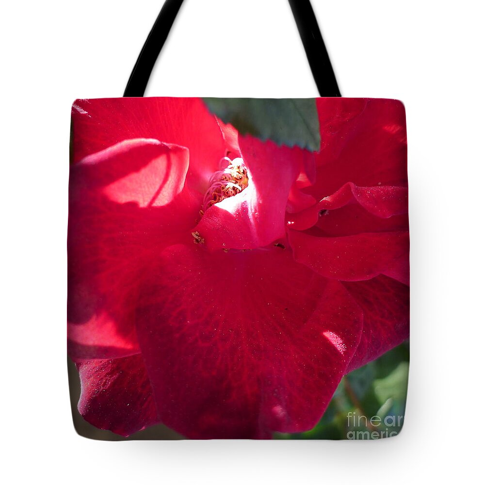 Red Tote Bag featuring the photograph Rose #4 by Nora Boghossian