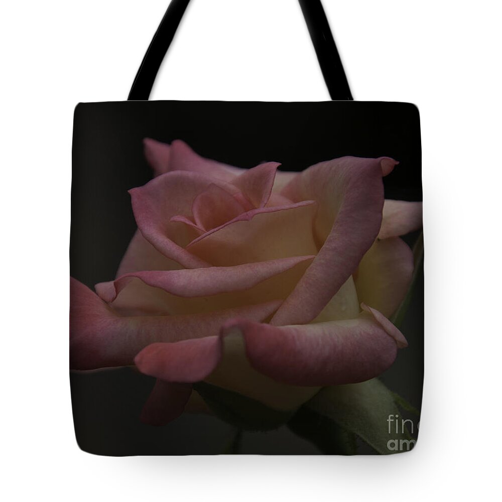 Rose Tote Bag featuring the photograph Rose #2 by Ronald Grogan