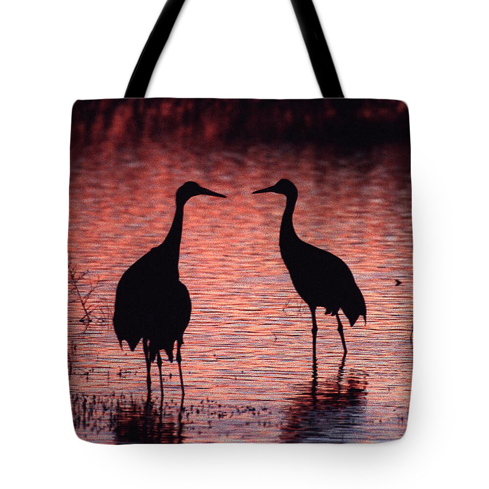 Birds Tote Bag featuring the photograph Sandhill cranes by Steven Ralser