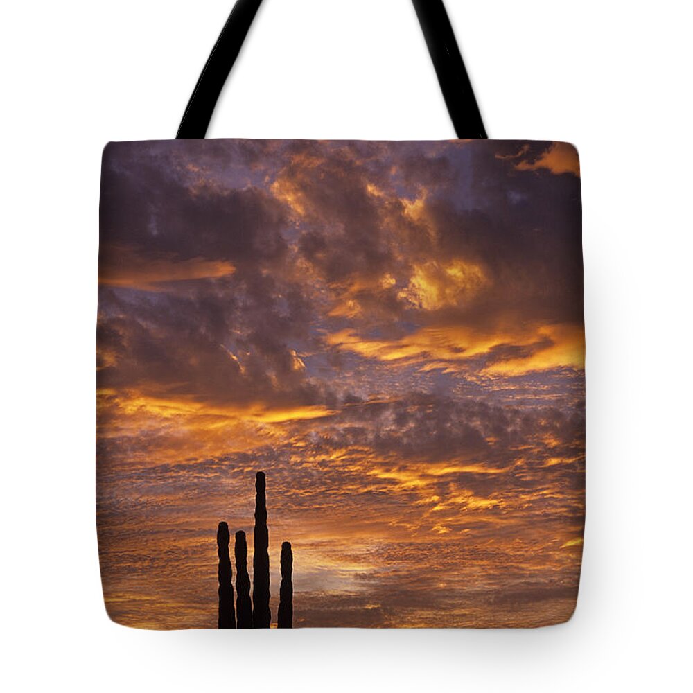 American Southwest Tote Bag featuring the photograph Silhouetted saguaro cactus sunset at dusk with dramatic clouds #2 by Jim Corwin