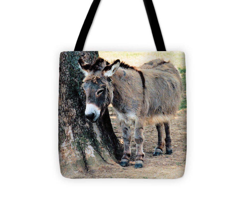 Animals Tote Bag featuring the photograph Sleepy Sardarian by Jan Amiss Photography