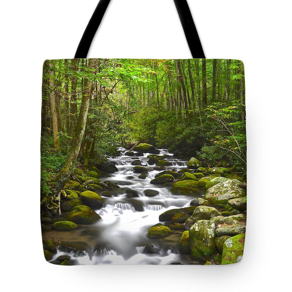Square Tote Bag featuring the photograph Smoky Mountain Stream #2 by Frozen in Time Fine Art Photography