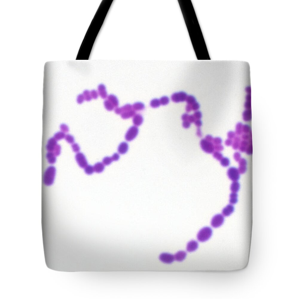 Bacteria Tote Bag featuring the photograph Streptococcus Pyogenes #2 by Michael Abbey