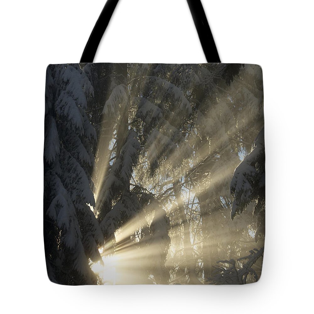 Winter Tote Bag featuring the photograph Sunbeam #2 by Chevy Fleet