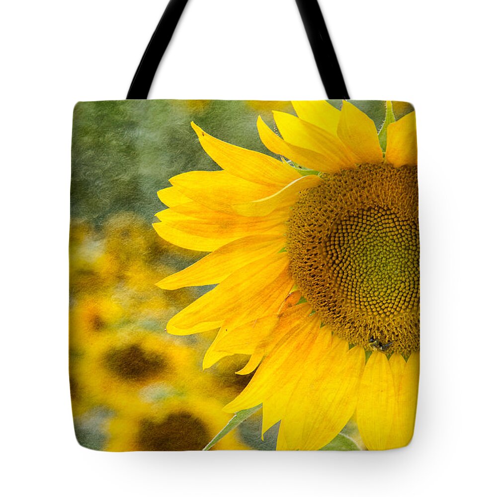 Landscape Tote Bag featuring the photograph Sunflower by Joye Ardyn Durham