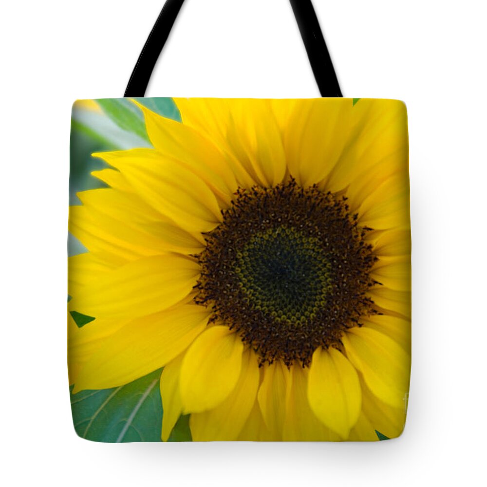 Flower Tote Bag featuring the photograph Sunflower #2 by Richard and Ellen Thane