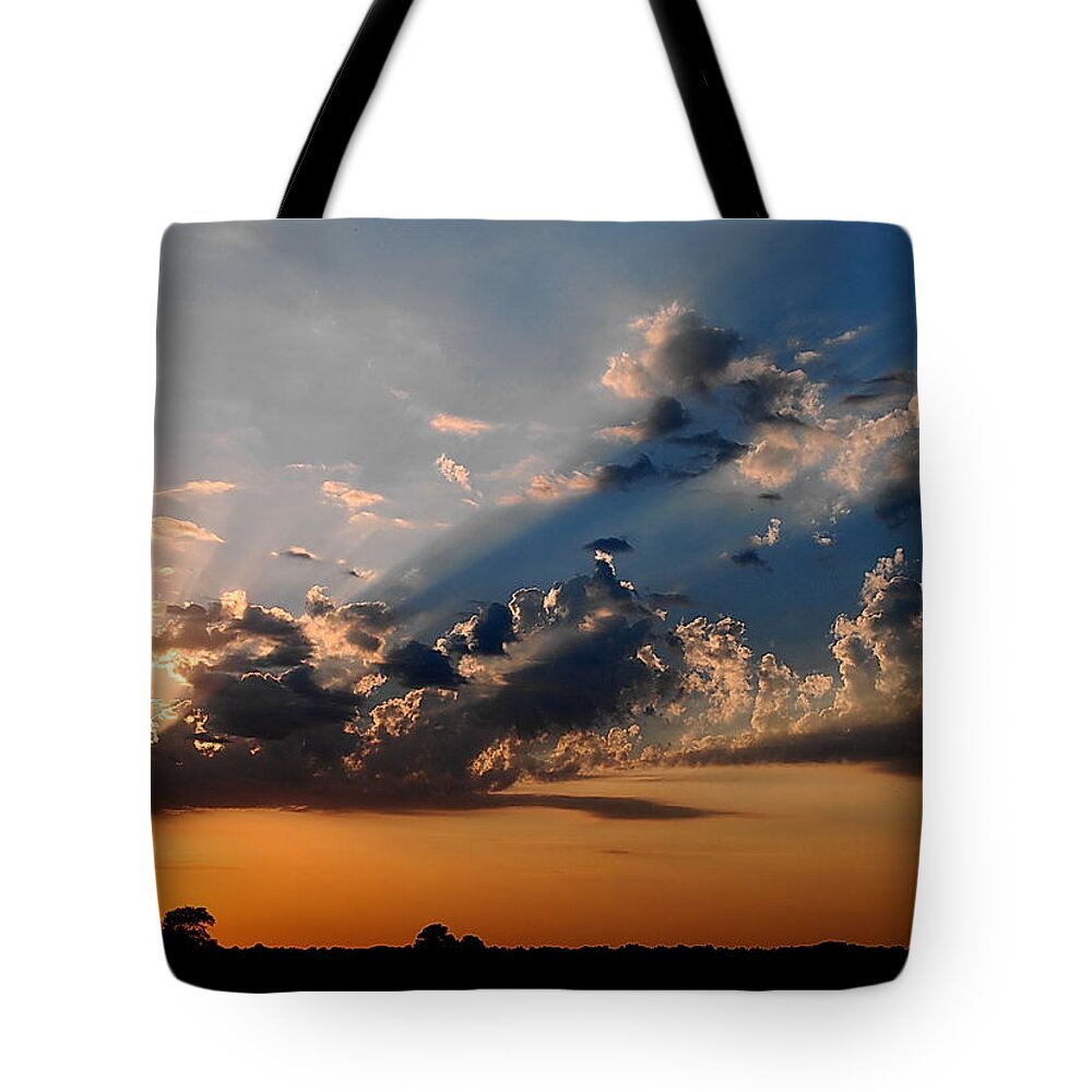 Sun Tote Bag featuring the photograph Sunset in Seaford by Francie Davis
