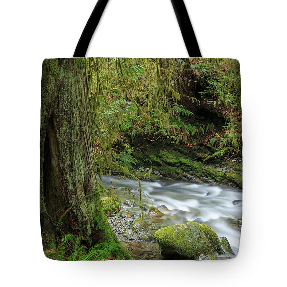 Moss Tote Bag featuring the photograph Temperate rainforest of Goldstream Park #3 by Louise Heusinkveld