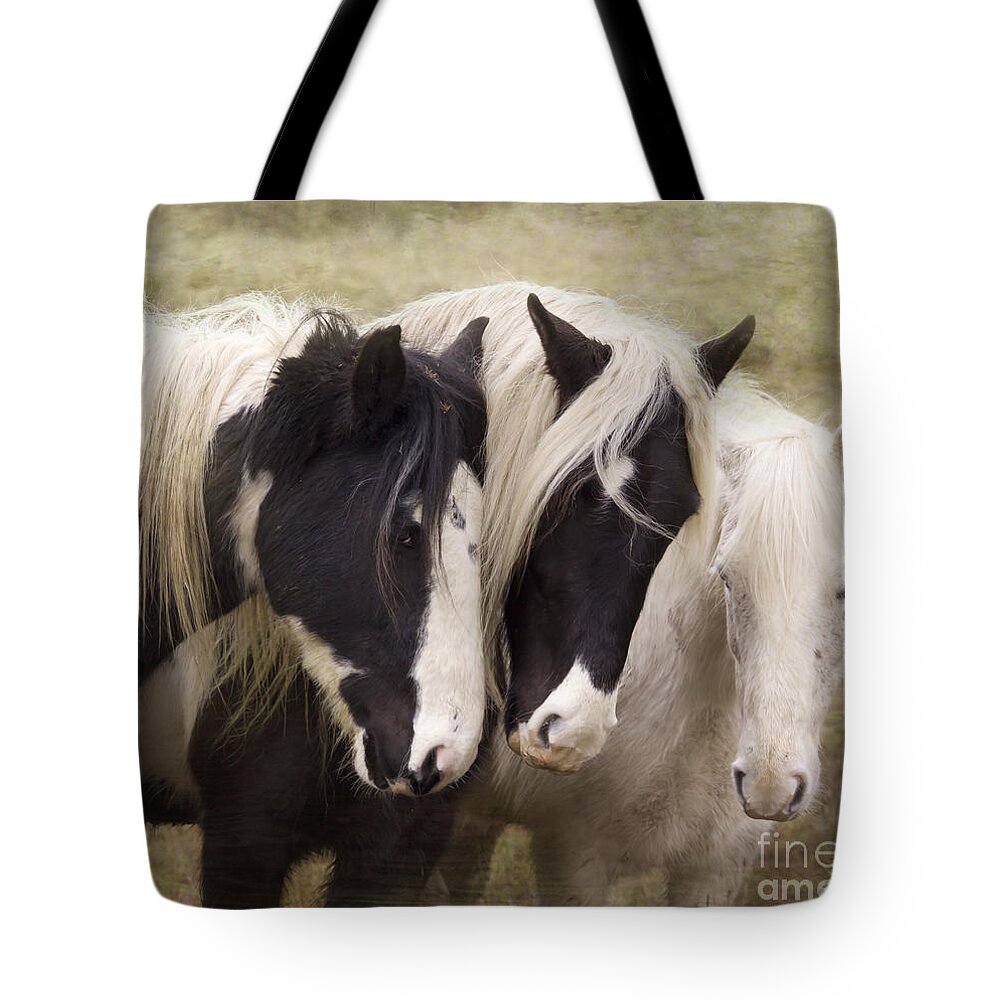 Horse Tote Bag featuring the photograph Three Amigos #2 by Ang El