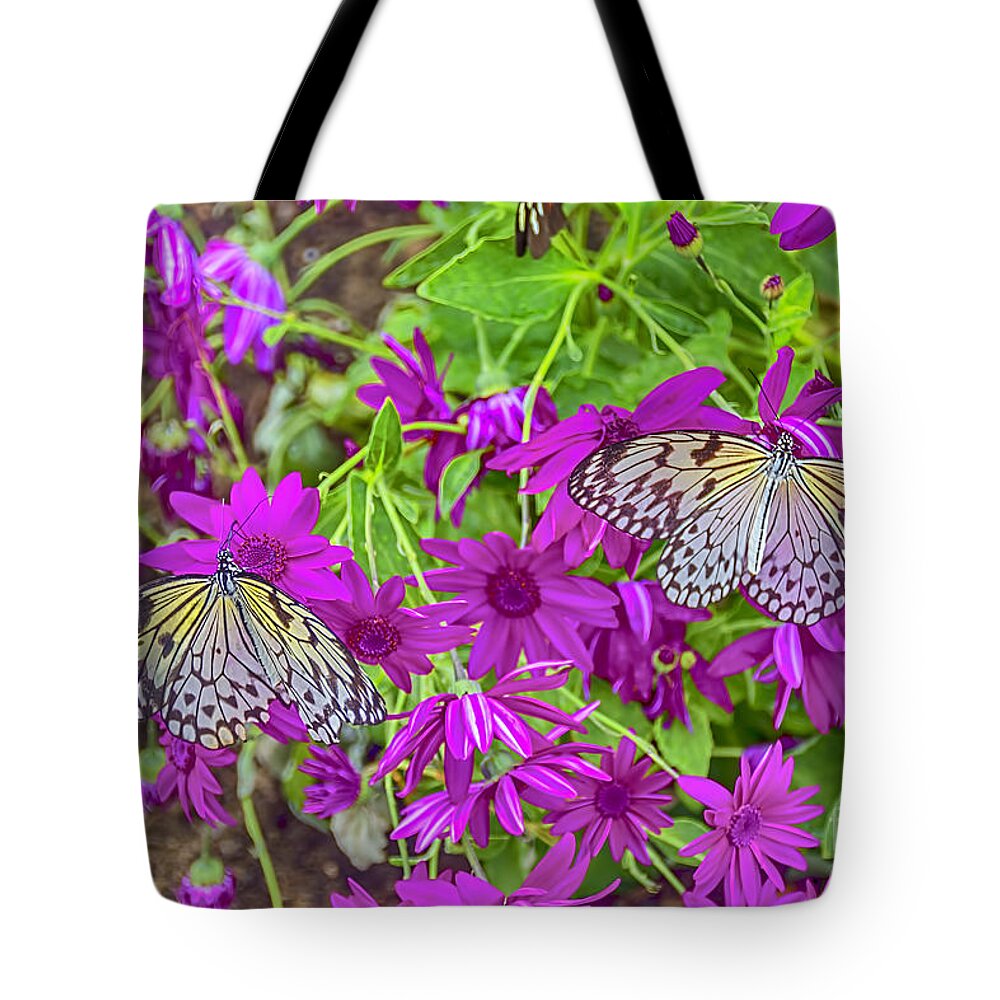 Tree Nymph Canvas Tote Bag featuring the photograph 2 Tree Nymph Butterflies by Chris Thaxter