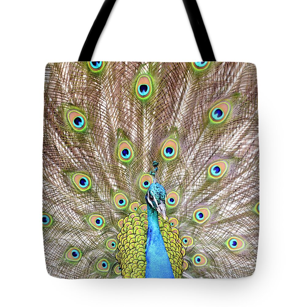 Male Peacock Tote Bag featuring the photograph Peacock by Crystal Wightman