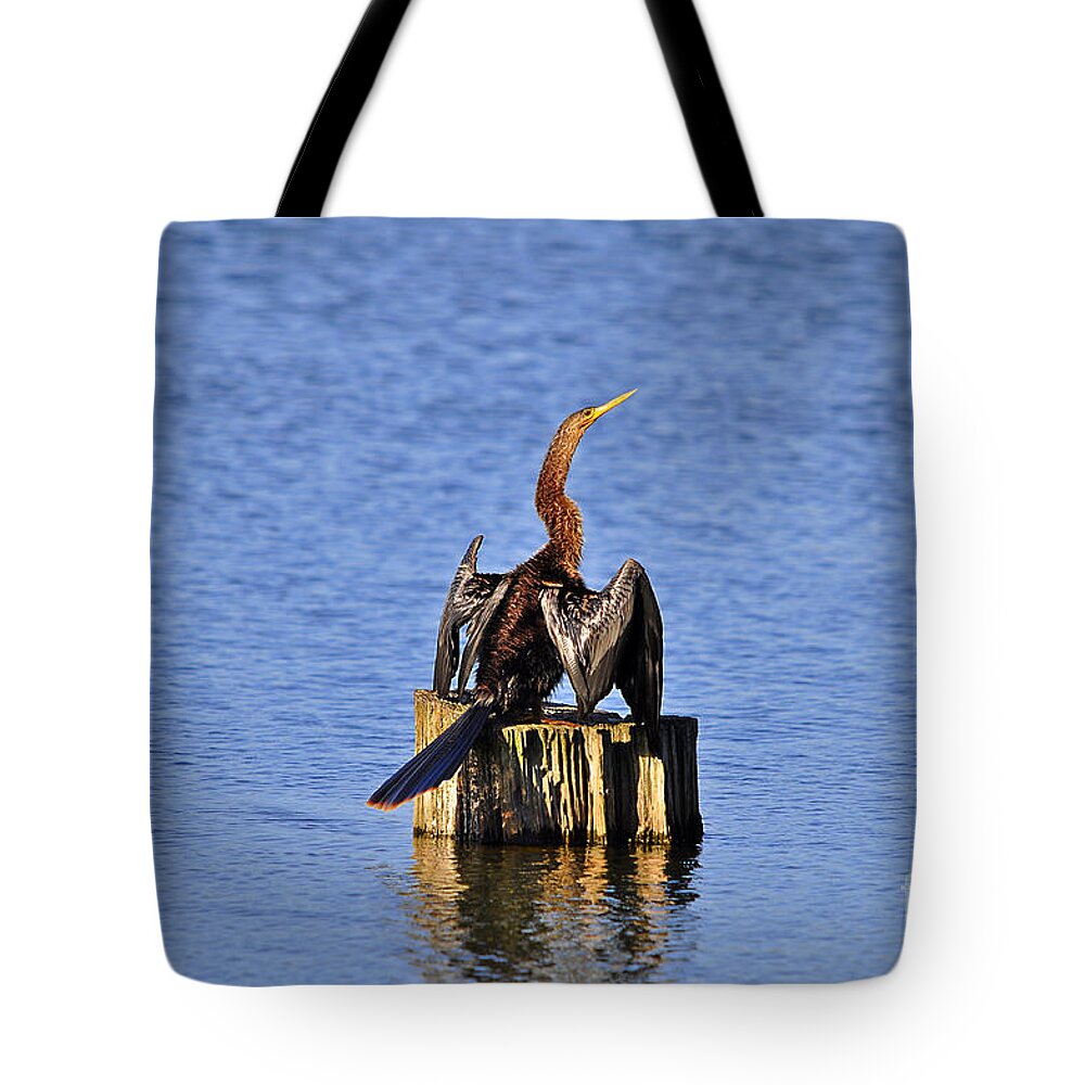 Anhinga Tote Bag featuring the photograph Wet Wings #2 by Al Powell Photography USA