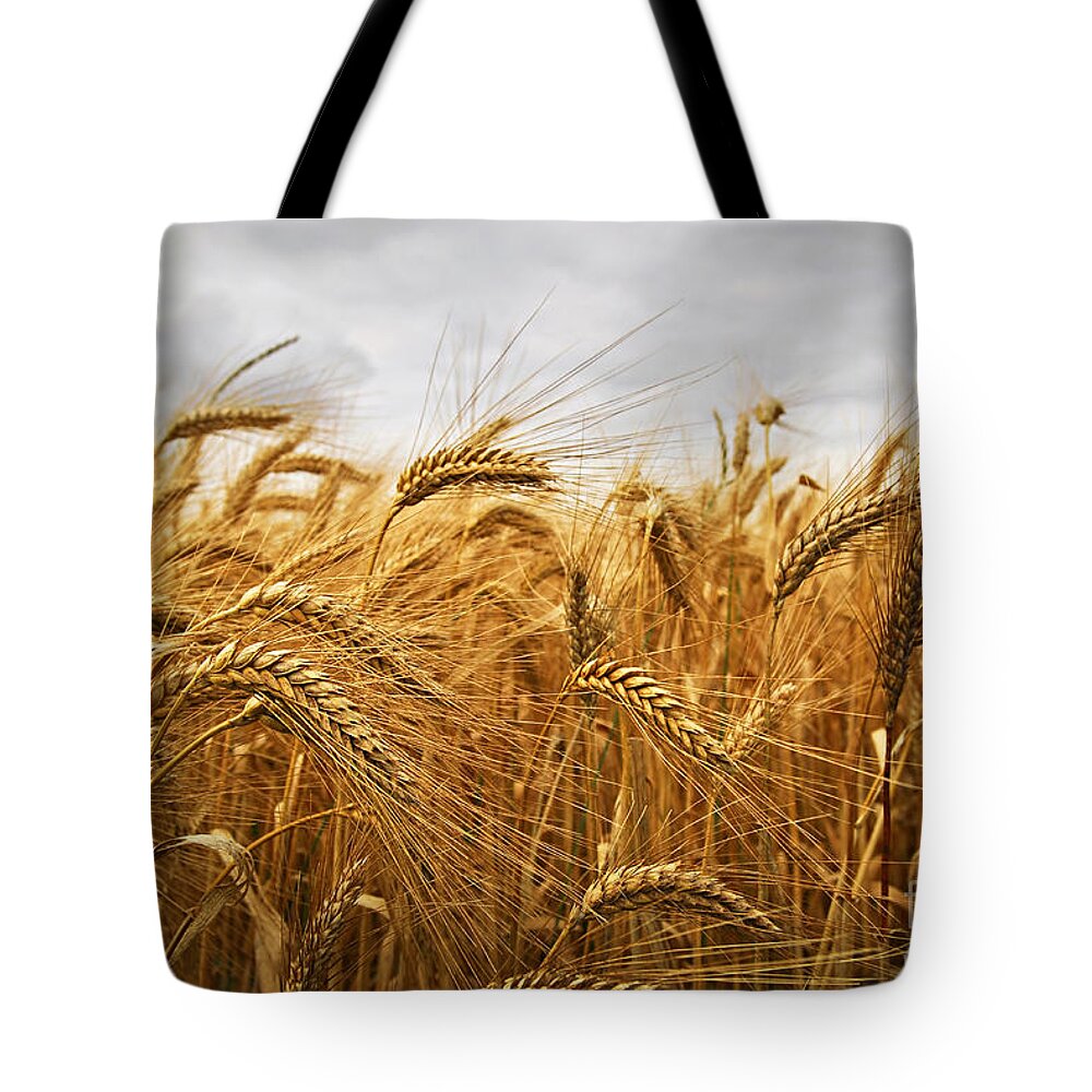 Wheat Tote Bag featuring the photograph Wheat by Elena Elisseeva