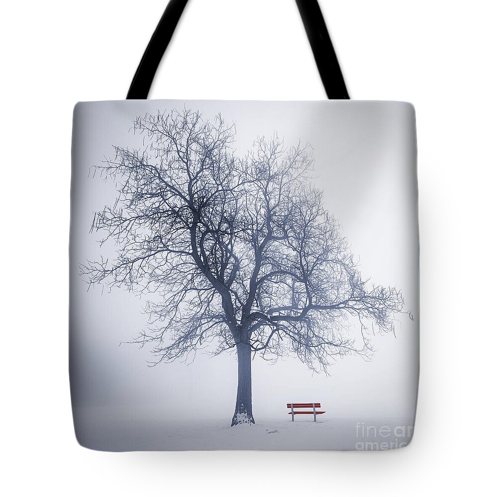 Tree Tote Bag featuring the photograph Winter tree in fog 1 by Elena Elisseeva