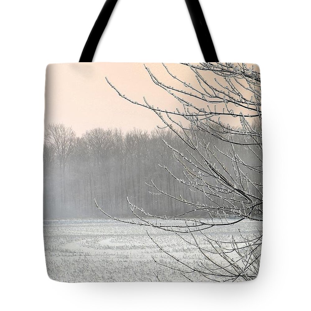 Mccombie Tote Bag featuring the photograph Winter Woods #2 by J McCombie