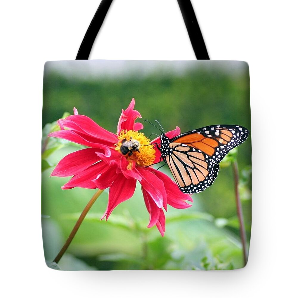 Nature Tote Bag featuring the photograph Working Together by Karen Silvestri