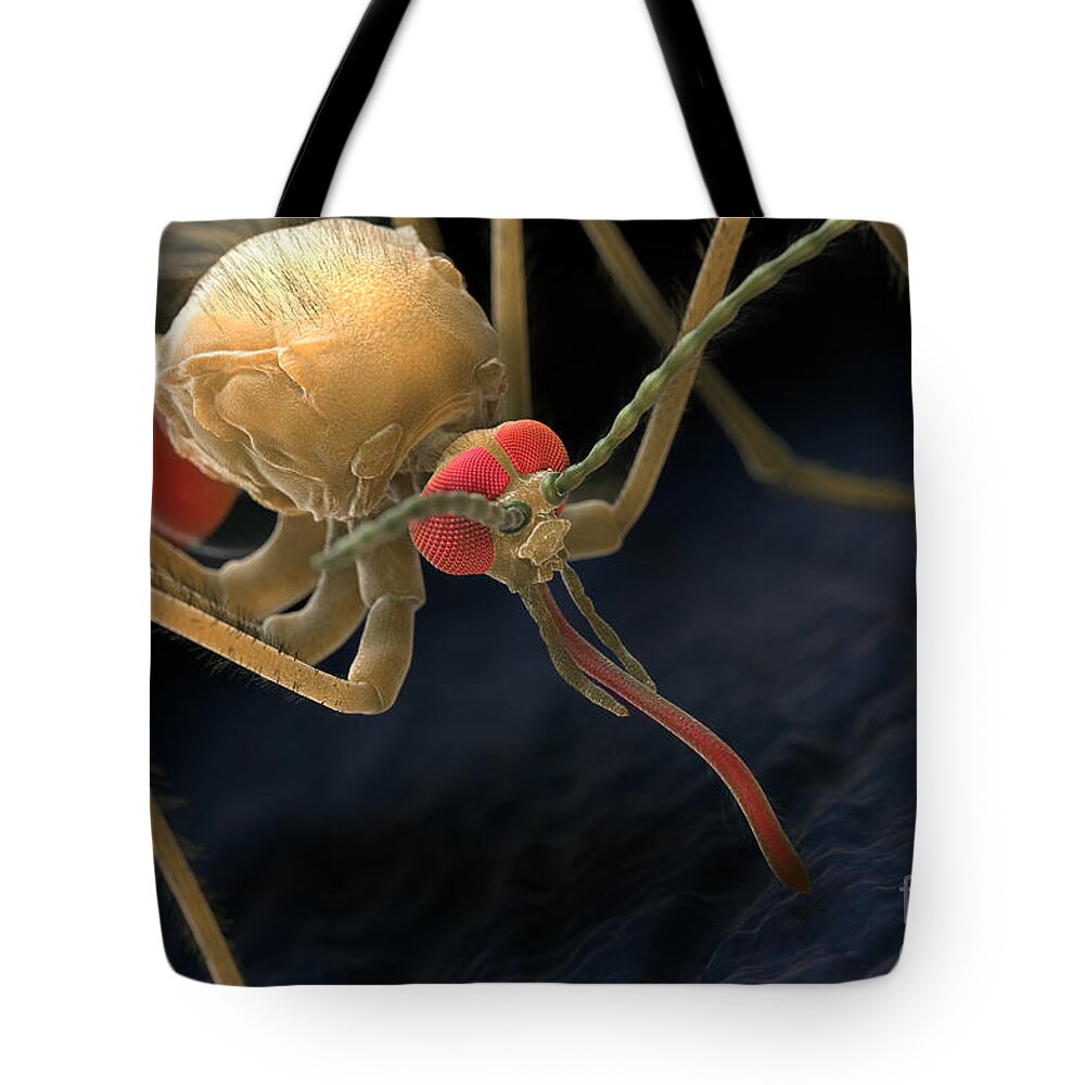 3d Visualisation Tote Bag featuring the photograph Anopheles Mosquito #20 by Science Picture Co
