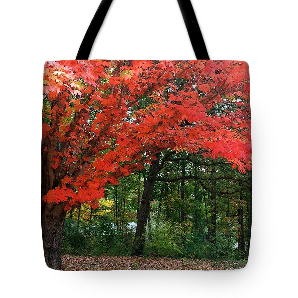 Fall Tote Bag featuring the photograph Fall Explosion of Color #20 by Kenny Glover