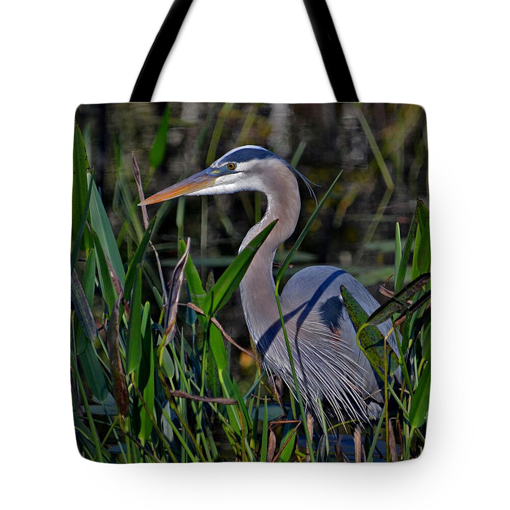 Great Blue Heron Tote Bag featuring the photograph 20- Great Blue Heron by Joseph Keane