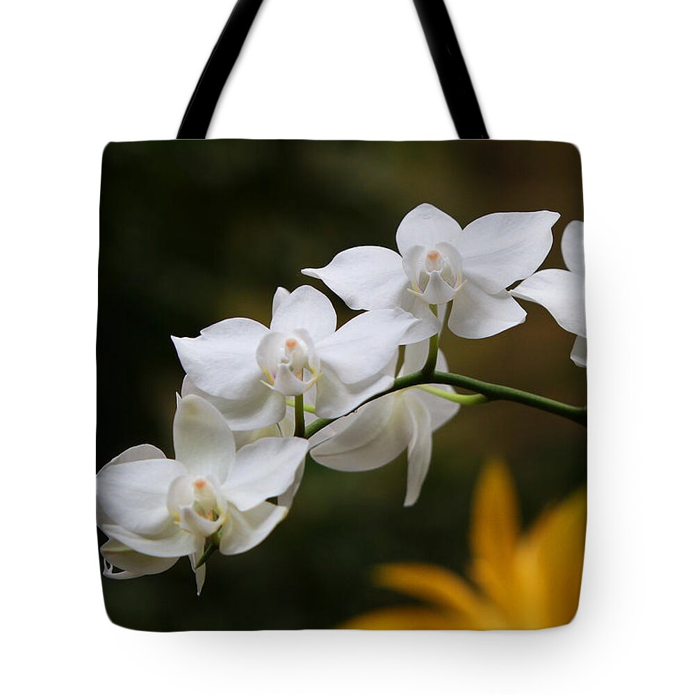 Orchids Tote Bag featuring the photograph Orchids #14 by John Freidenberg
