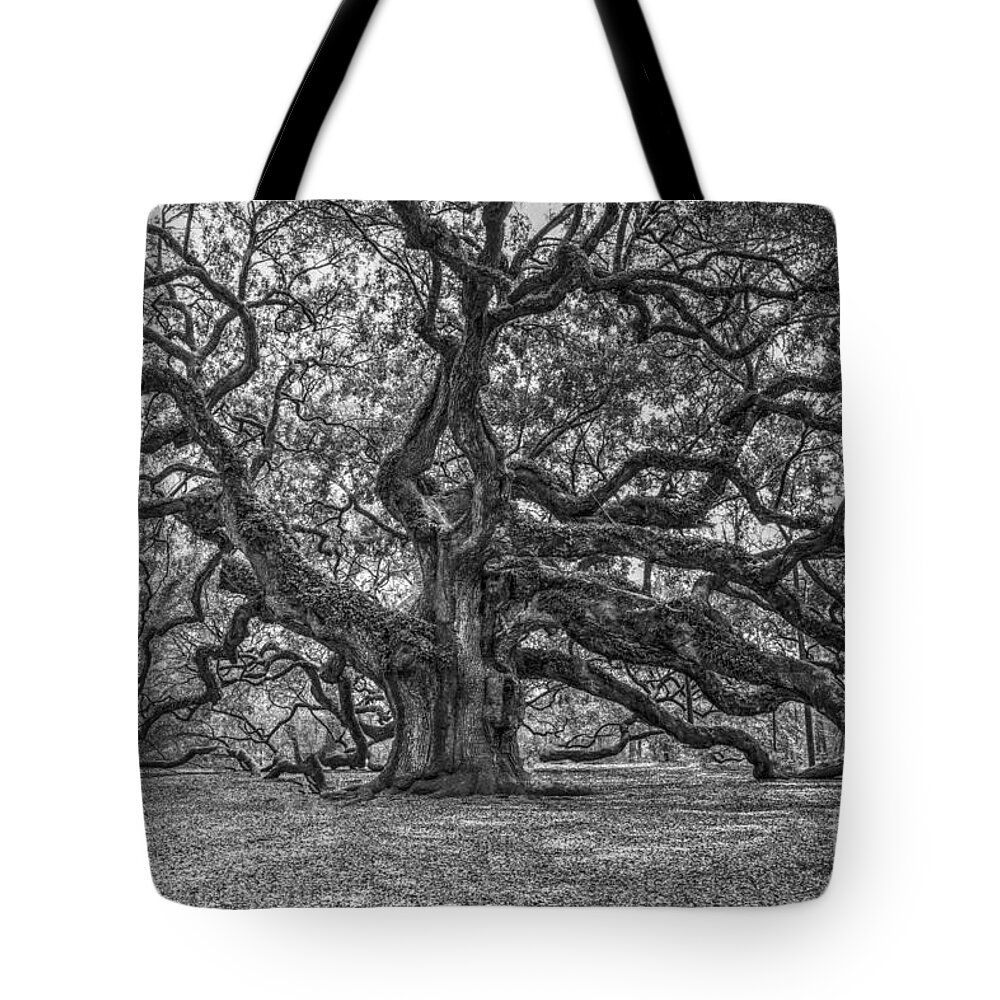 Angel Oak Tree Tote Bag featuring the photograph Angel Oak Tree in Black and White by Dale Powell