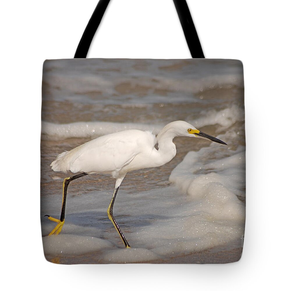 Snowy Egret Tote Bag featuring the photograph 22- Snowy Egret by Joseph Keane