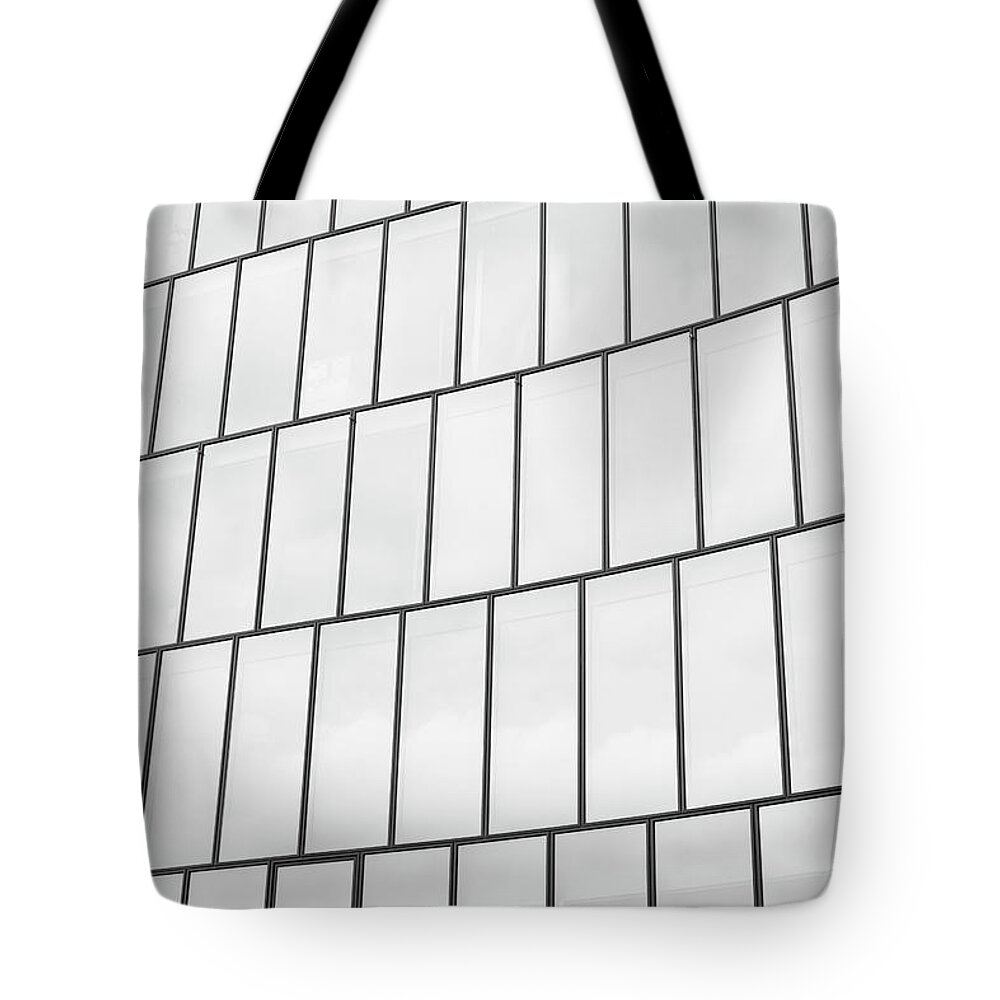 Environmental Conservation Tote Bag featuring the photograph Study Of Patterns And Lines #22 by Roland Shainidze Photogaphy