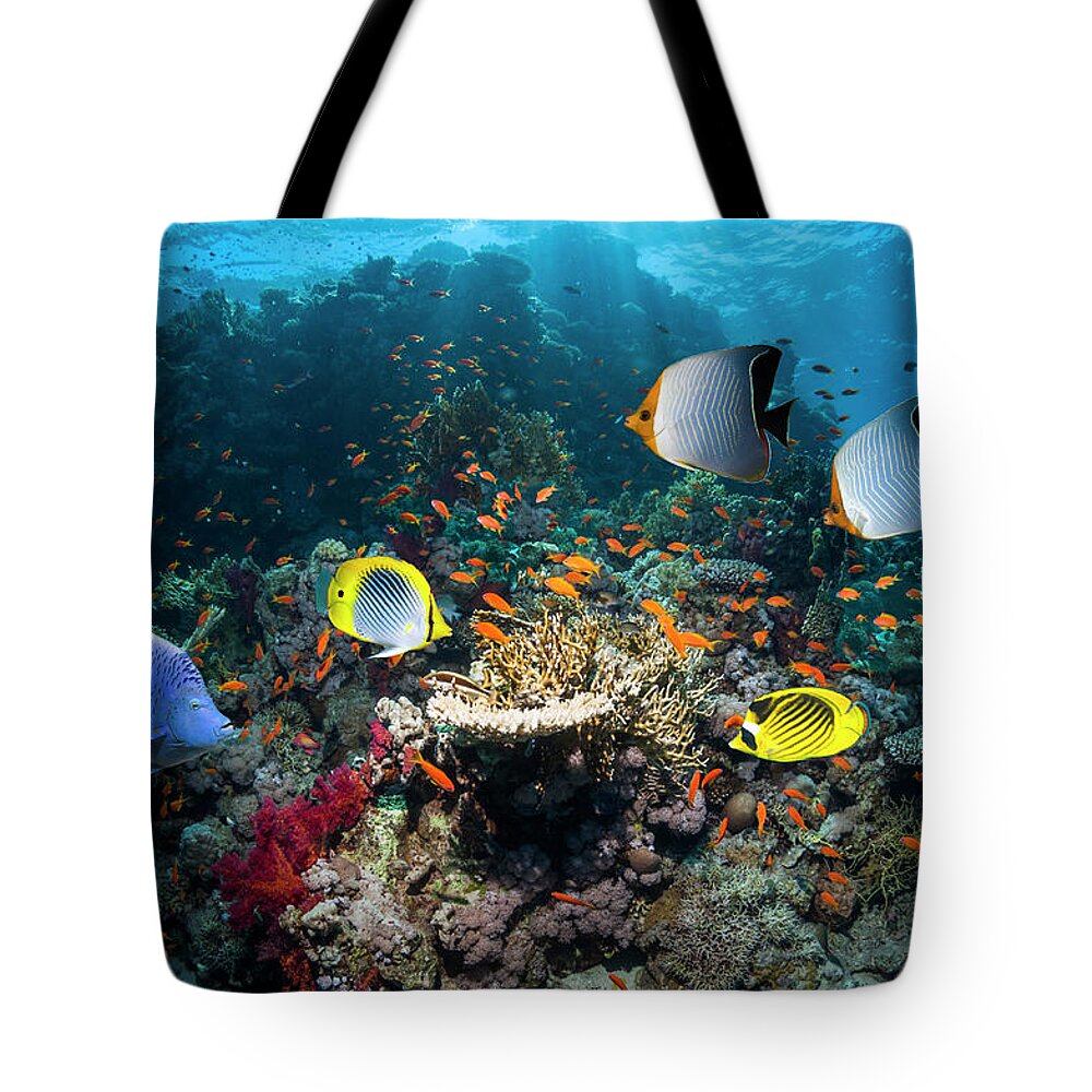 Tranquility Tote Bag featuring the photograph Coral Reef Scenery #24 by Georgette Douwma