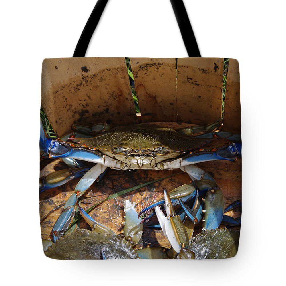 Blue Tote Bag featuring the photograph 24 Crab Challenge by Greg Graham