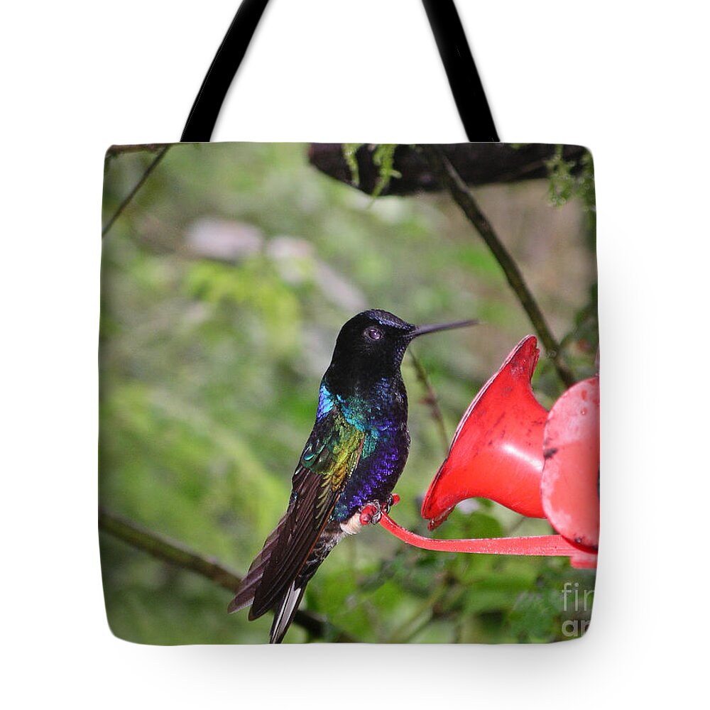 Animals Tote Bag featuring the digital art Scenes from Ecuador #24 by Carol Ailles
