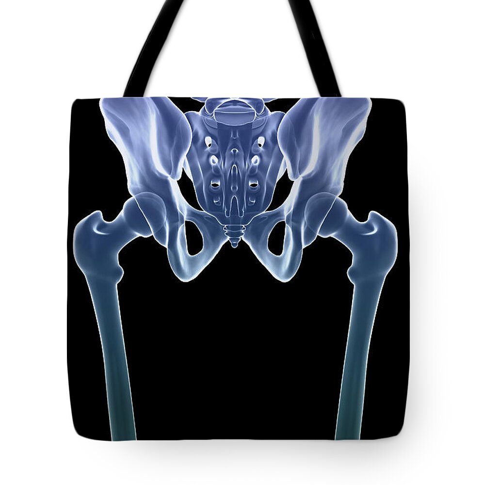 Biomedical Illustration Tote Bag featuring the photograph The Skeleton #24 by Science Picture Co