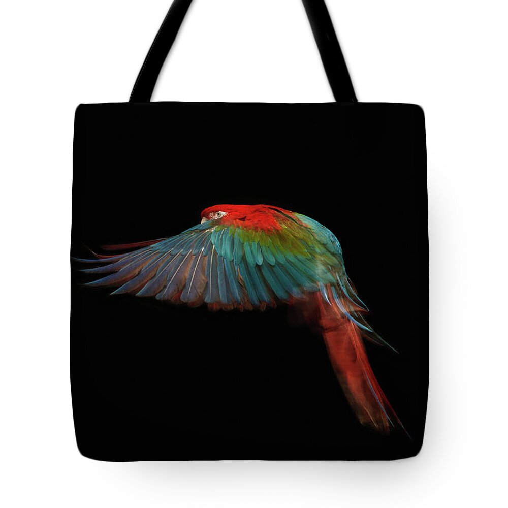 Exoticism Tote Bag featuring the photograph A Scarlet Macaw In Mid Flight #3 by Tim Platt