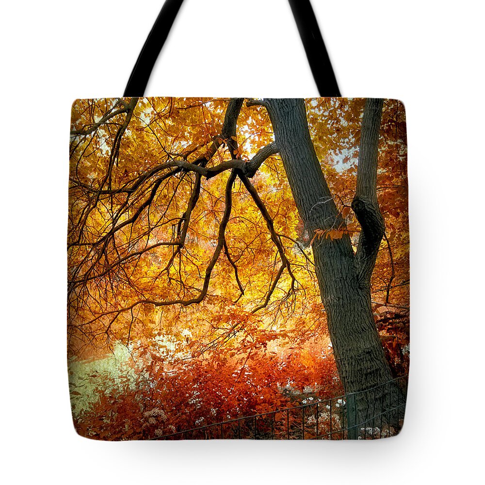 Tree Tote Bag featuring the photograph Ablaze #3 by Jessica Jenney