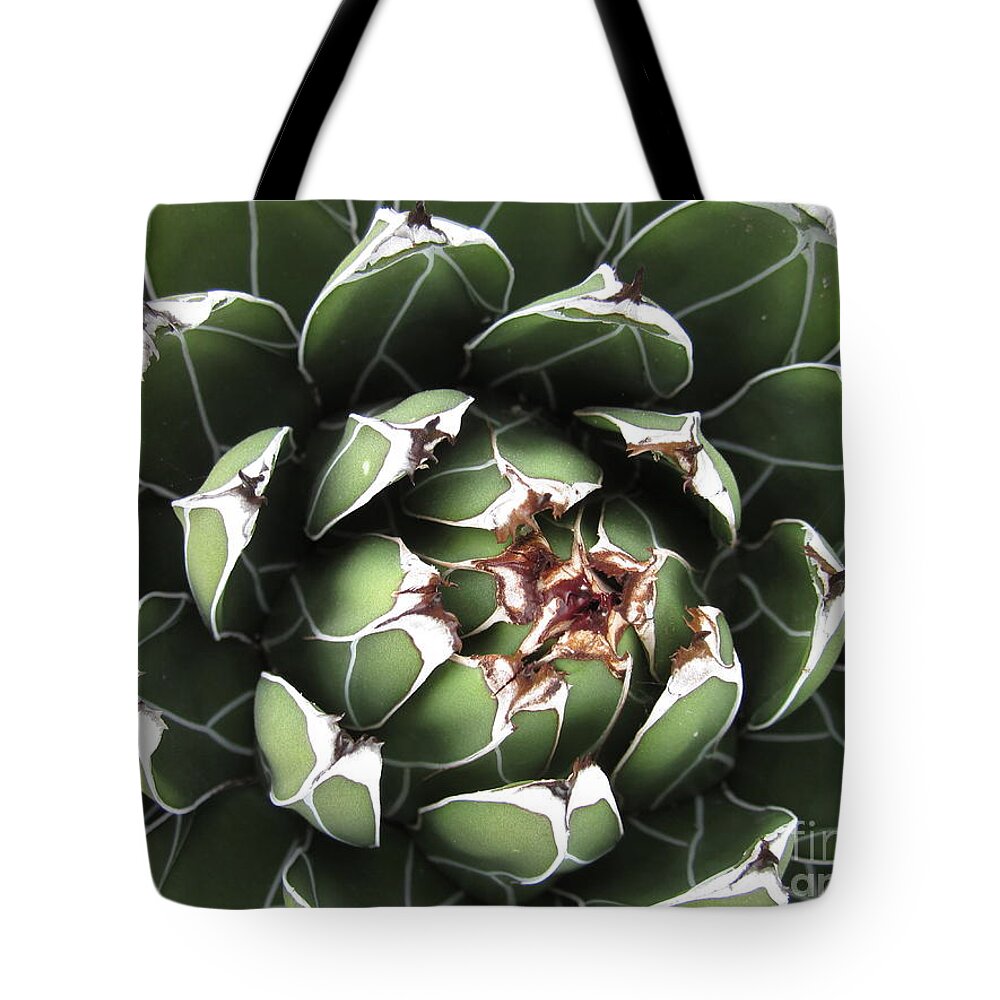 Agave Tote Bag featuring the photograph Agave #4 by Chani Demuijlder