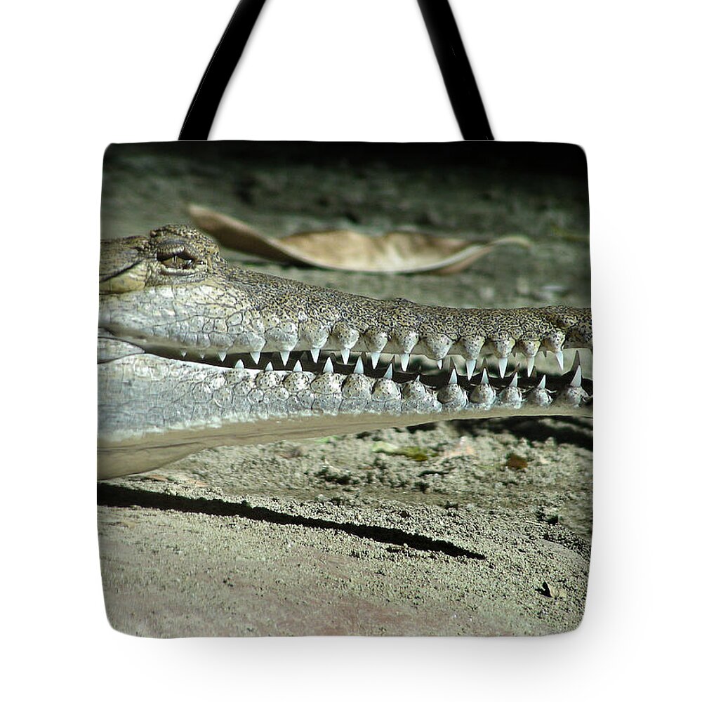 Crocodile Tote Bag featuring the photograph Alligator Camouflage #3 by Alexandra Till