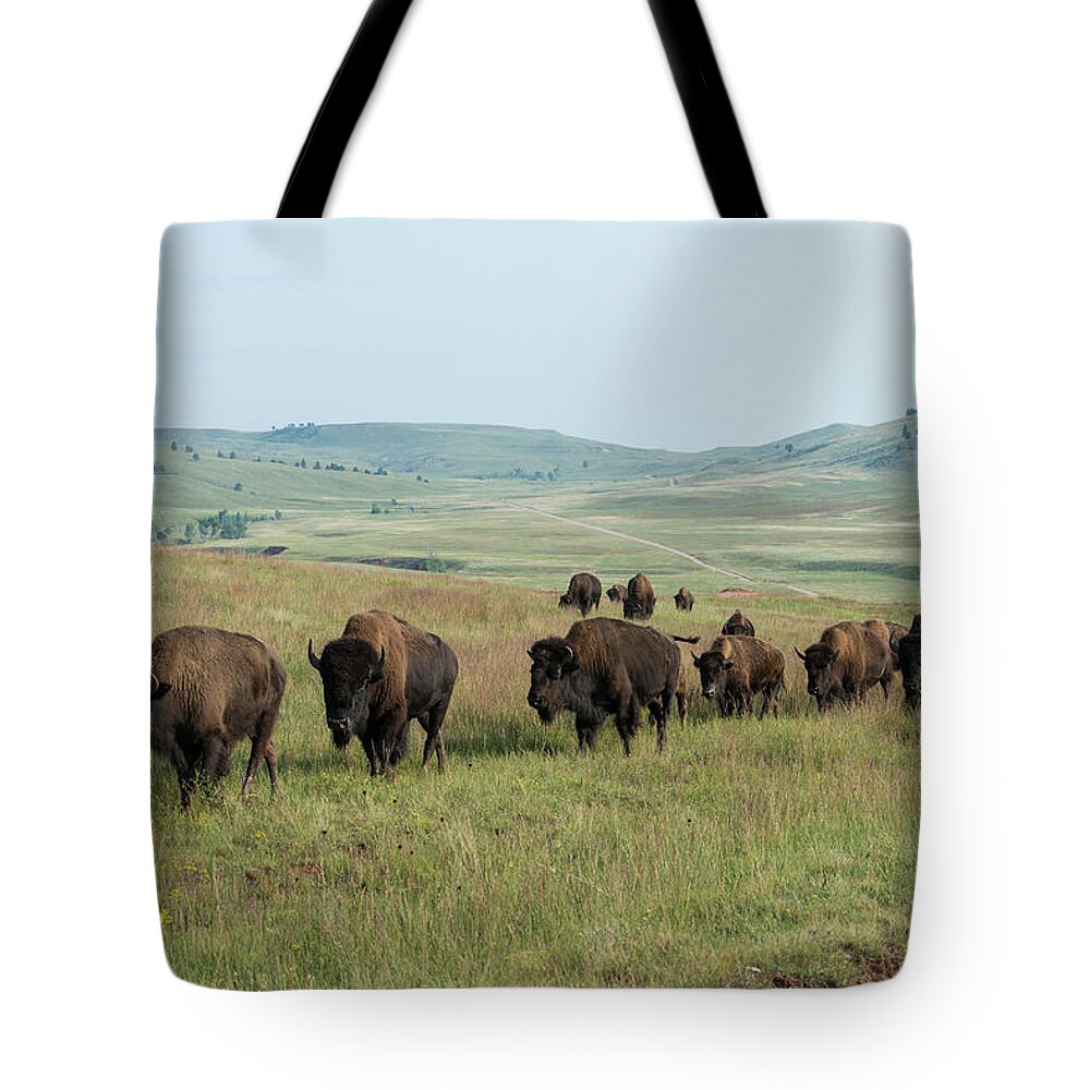 Grass Tote Bag featuring the photograph Bison Buffalo In Wind Cave National Park #3 by Mark Newman