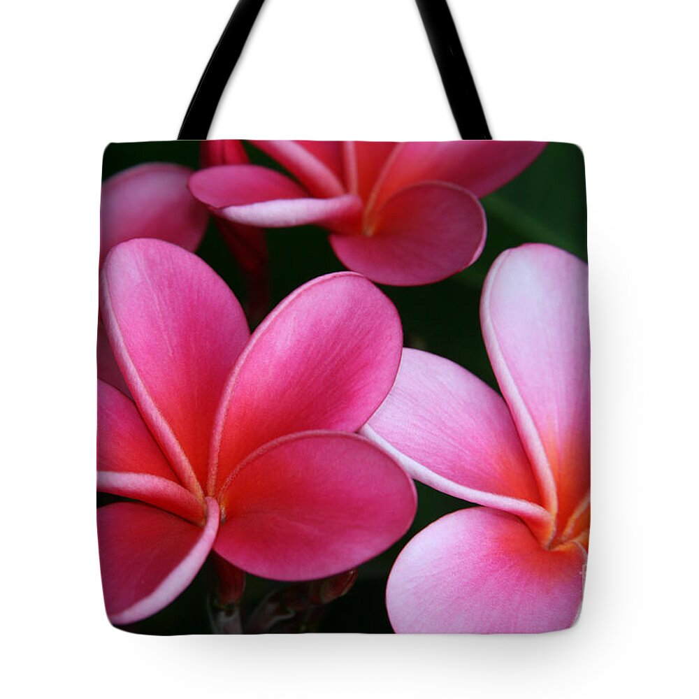 Aloha Tote Bag featuring the photograph Breathe Gently #1 by Sharon Mau