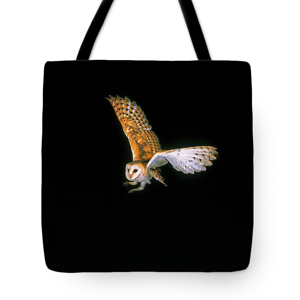 Adult Tote Bag featuring the photograph Chouette Effraie Tyto Alba #3 by Gerard Lacz