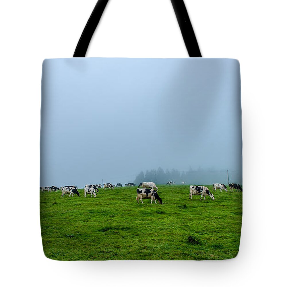 Cows In The Field Tote Bag featuring the photograph Cows in the Field by Joseph Amaral