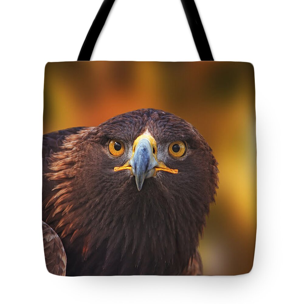 Animal Tote Bag featuring the photograph Golden Eagle #3 by Brian Cross