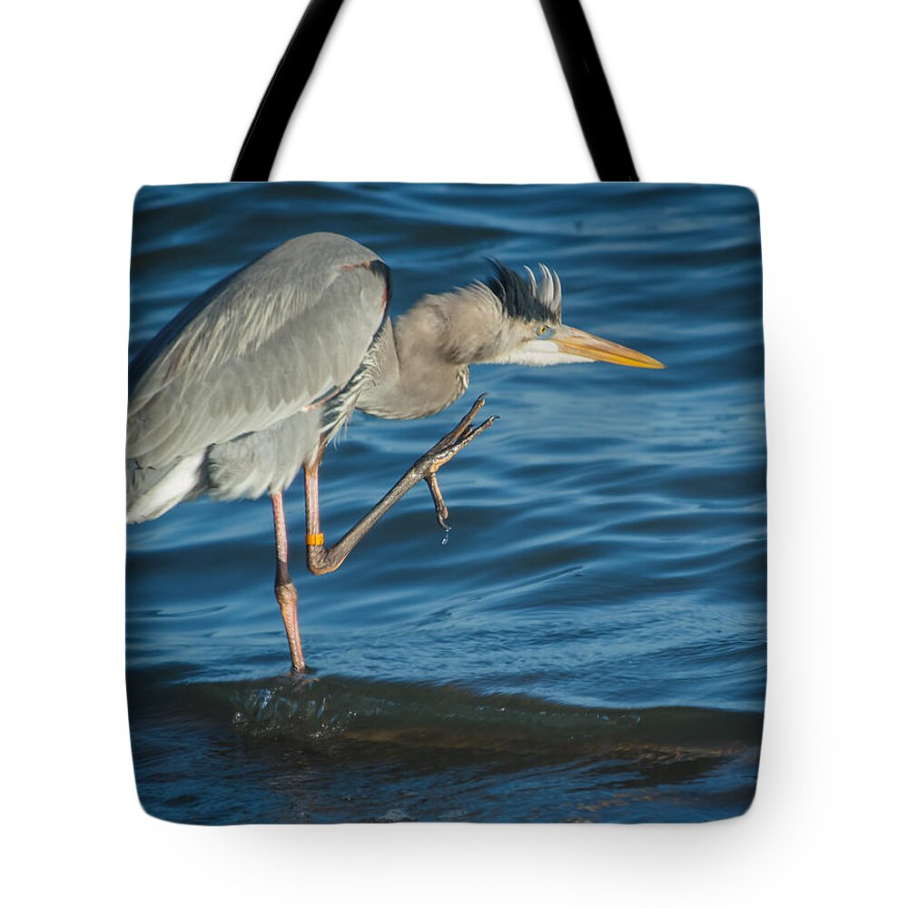 Florida Tote Bag featuring the photograph Great Blue Heron #3 by Jane Luxton