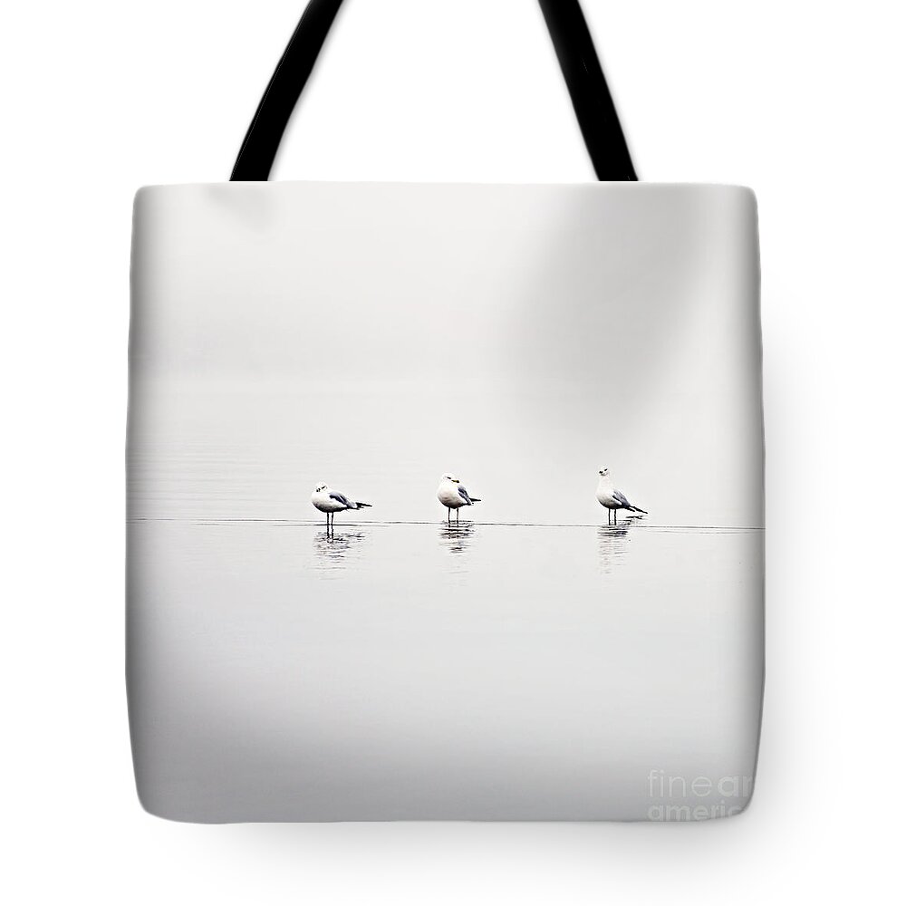 Seagull Tote Bag featuring the photograph 3 Gulls by Sylvia Cook