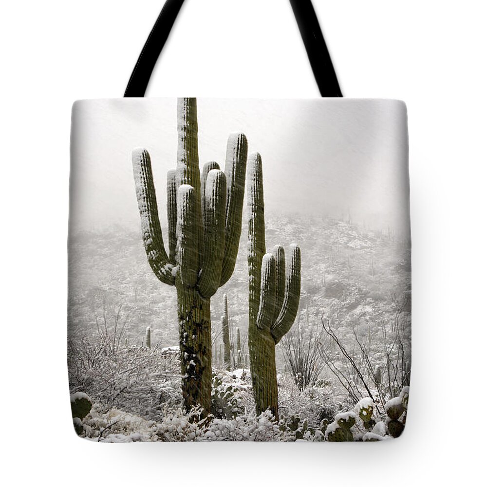 Arizona Tote Bag featuring the photograph Happy Holidays #2 by Saija Lehtonen