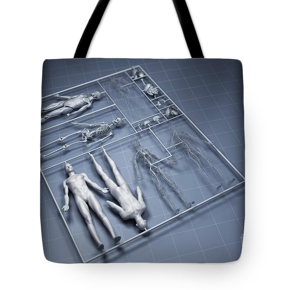 Gray Background Tote Bag featuring the photograph Human Cloning #3 by Science Picture Co