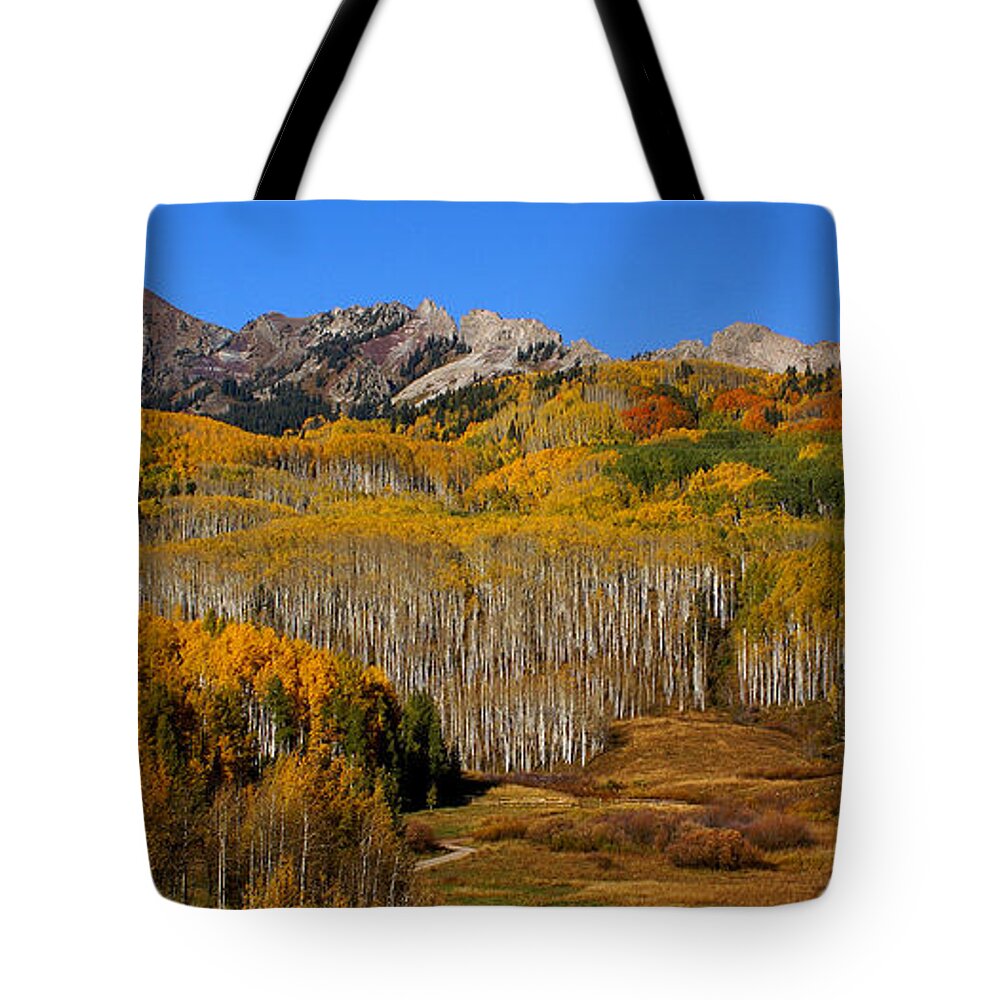 Kebler Pass Tote Bag featuring the photograph Kebler Color Show #3 by Kelly Black