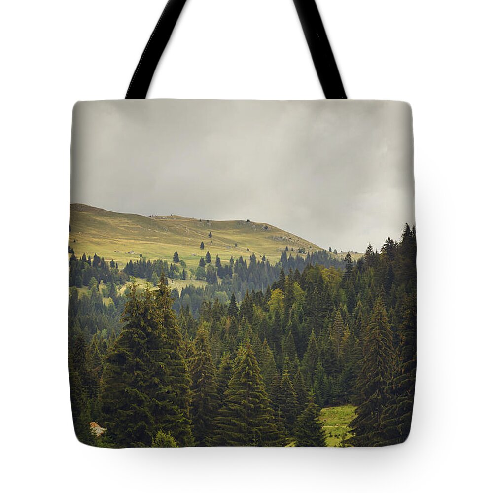 Landscape Tote Bag featuring the photograph Landscape in Autumn by Jelena Jovanovic