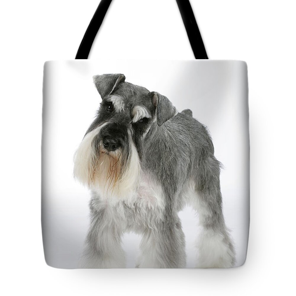 Dog Tote Bag featuring the photograph Miniature Schnauzer by John Daniels