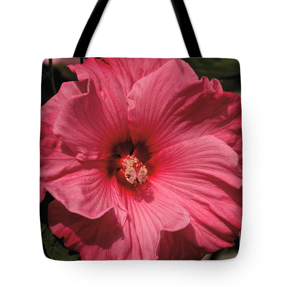 Tree Tote Bag featuring the photograph Pink #3 by William Norton