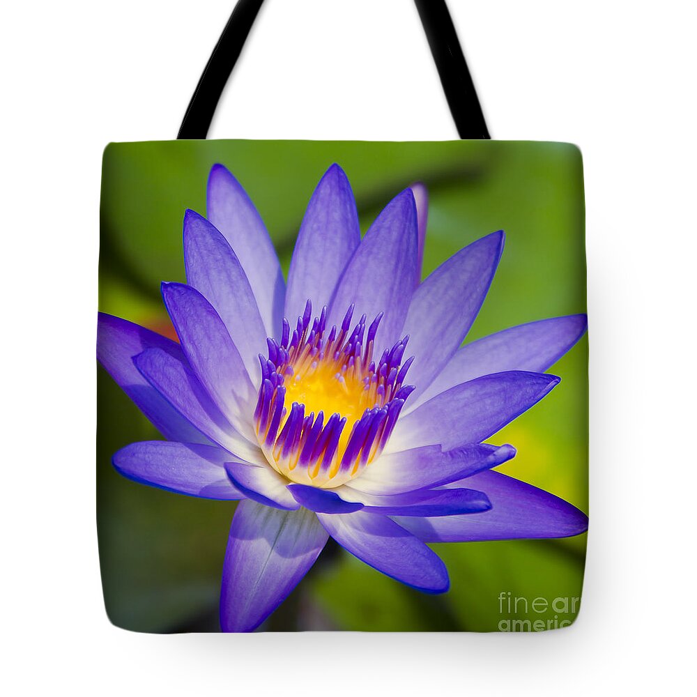 Water Lily Tote Bag featuring the photograph Pupukea Garden Breeze #3 by Sharon Mau