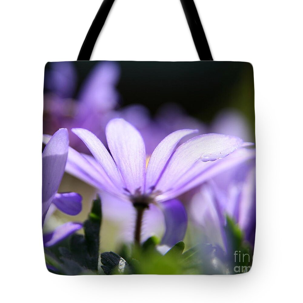 Flower Photography Tote Bag featuring the photograph Purple Light by Neal Eslinger